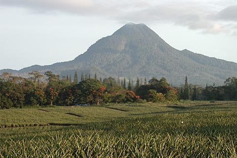 Mt. Matutum